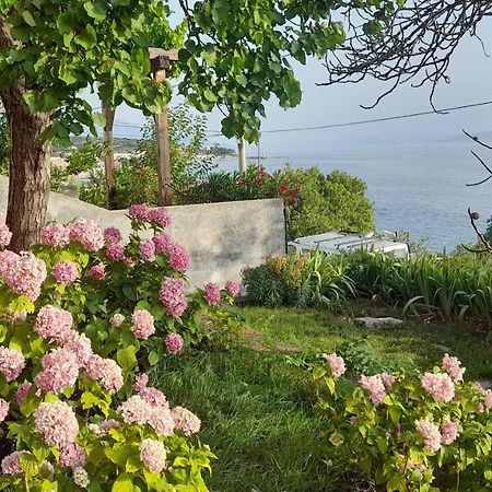 Apartments Mare Croatia Сень Экстерьер фото
